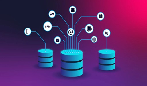 Database and programming code